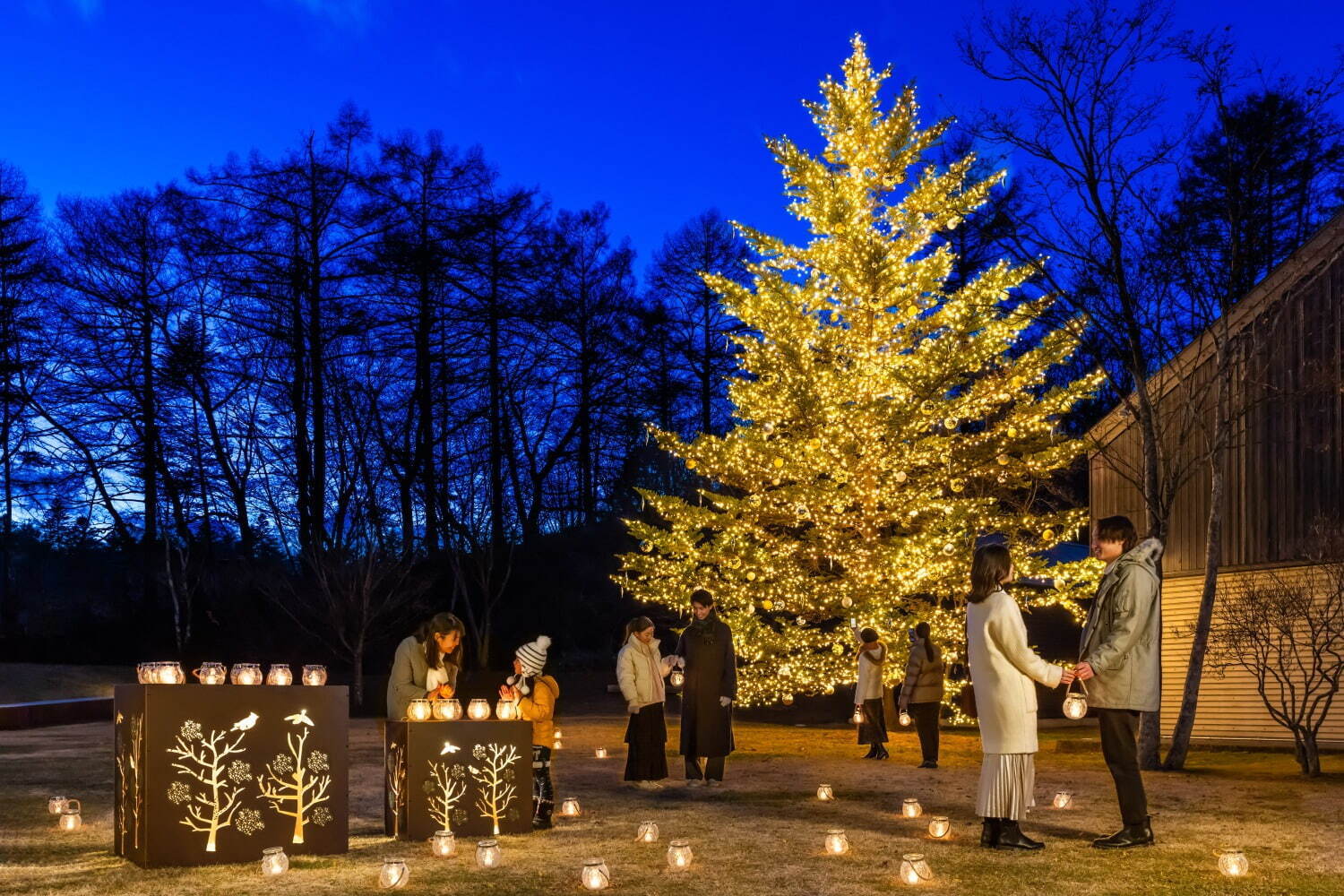 軽井沢星野エリア24年クリスマスイルミネーション、“やどりぎランタン”で煌めく空間を散策｜写真1