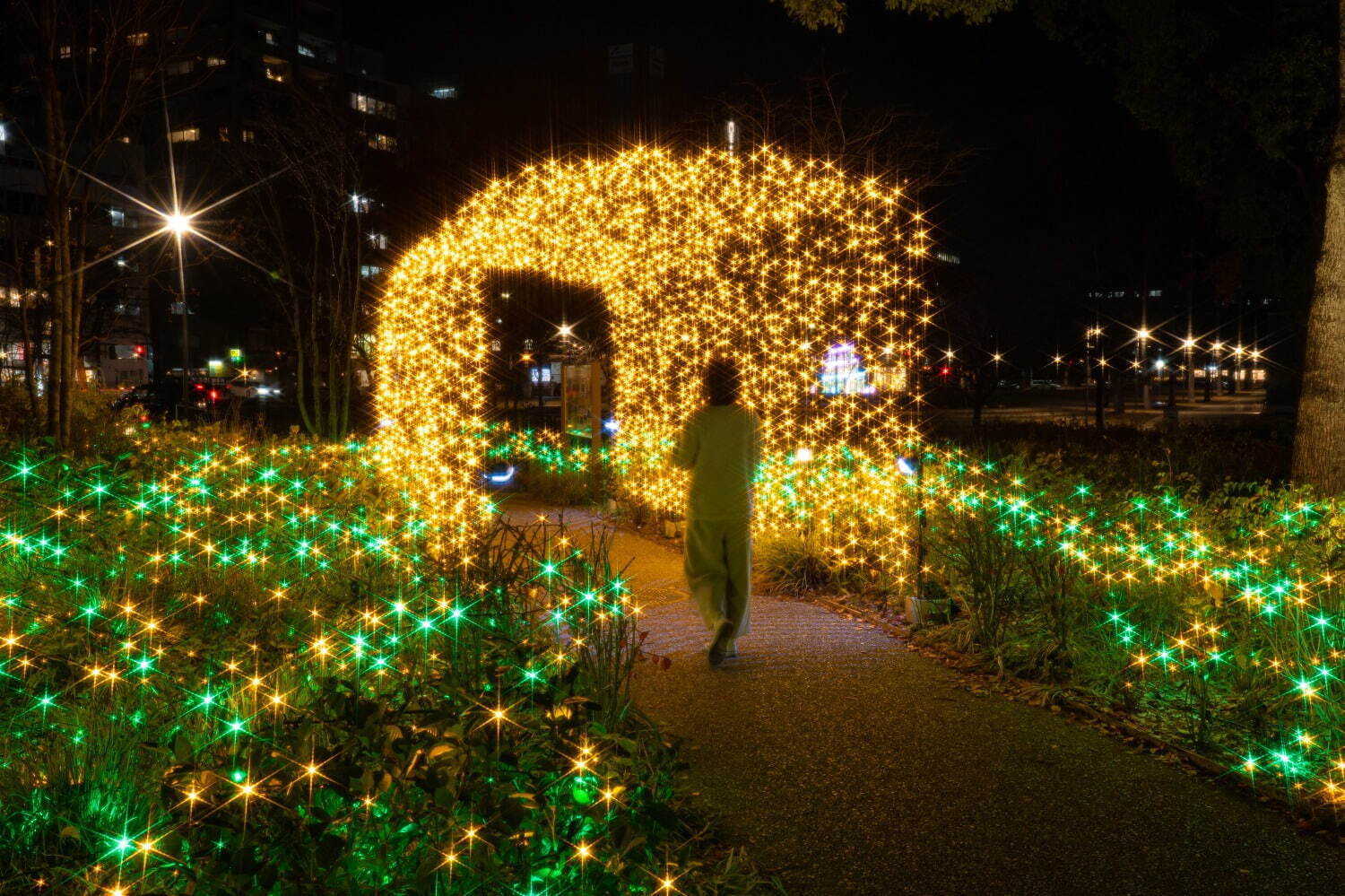 名古屋・久屋大通公園の24年冬イルミネーション、ゴールド×エメラルドの光きらめくライトアップ｜写真4