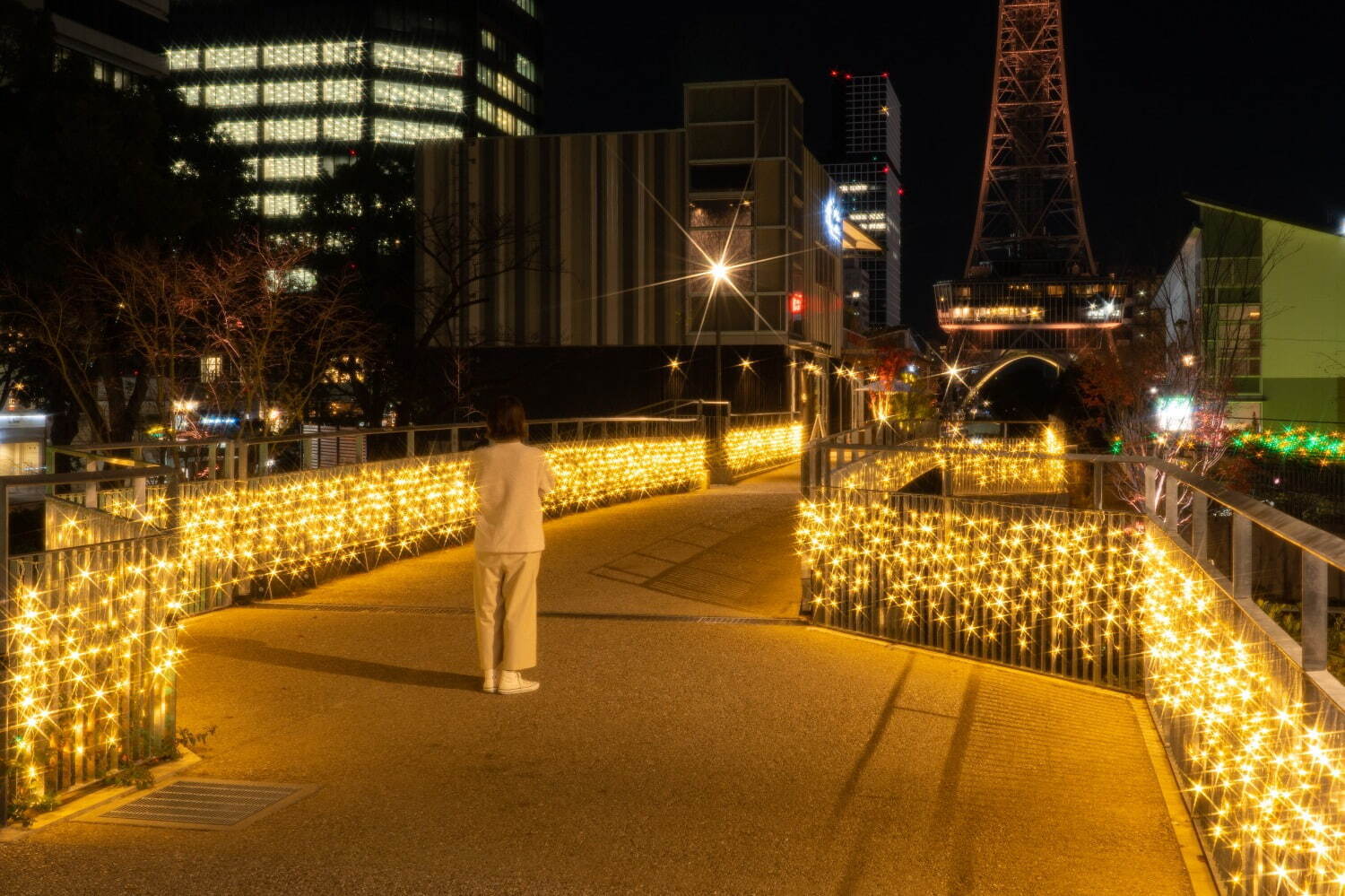 名古屋・久屋大通公園の24年冬イルミネーション、ゴールド×エメラルドの光きらめくライトアップ｜写真5