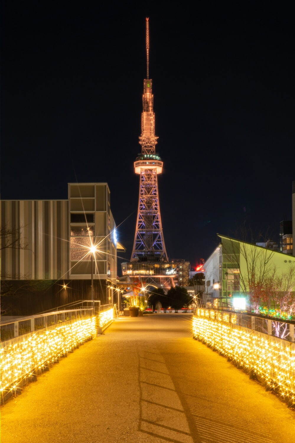 名古屋・久屋大通公園の24年冬イルミネーション、ゴールド×エメラルドの光きらめくライトアップ｜写真9