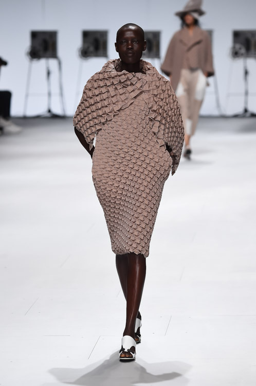 イッセイ ミヤケ(ISSEY MIYAKE) 2015年春夏ウィメンズコレクション シルエット - 写真12