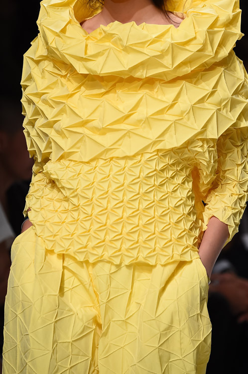 イッセイ ミヤケ(ISSEY MIYAKE) 2015年春夏ウィメンズコレクション  - 写真33