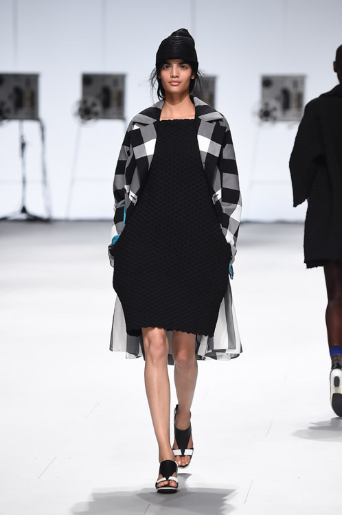 イッセイ ミヤケ(ISSEY MIYAKE) 2015年春夏ウィメンズコレクション シルエット - 写真34