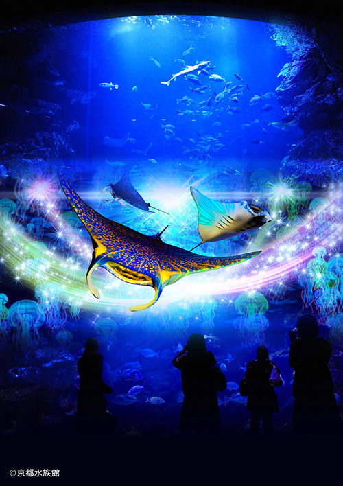 関西初！3Dで楽しむ冬限定「アクアリウム・ファンタジー」京都水族館で開催｜写真2