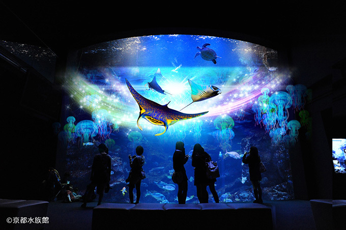 関西初！3Dで楽しむ冬限定「アクアリウム・ファンタジー」京都水族館で開催｜写真3