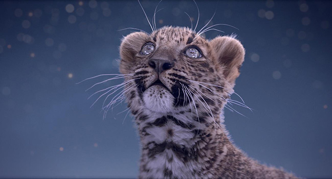 【動画】カルティエが贈るXmasのショートフィルム - パリ上空で戯れる2匹のパンテール｜写真1