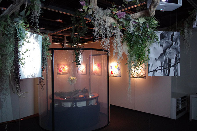 写真×プロジェクションマッピング×植栽、新感覚の展覧会が新宿で開催｜写真3