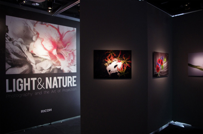 写真×プロジェクションマッピング×植栽、新感覚の展覧会が新宿で開催｜写真5