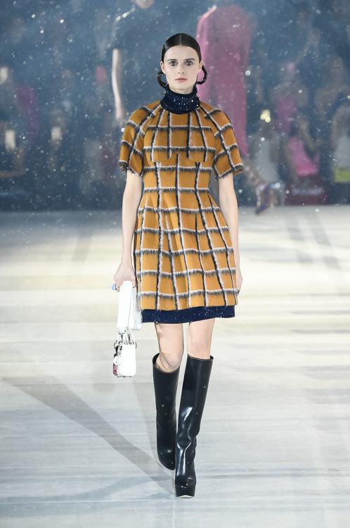 ディオール(DIOR) 2015年秋ウィメンズコレクション  - 写真23