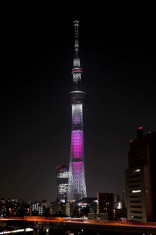 桜を愉しむ東京スカイツリータウンの春休みイベント - 特別ライティングや苺＆桜の限定スイーツなど｜写真3