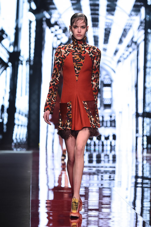 ジャスト カヴァリ(Just Cavalli) 2015-16年秋冬ウィメンズコレクション  - 写真46