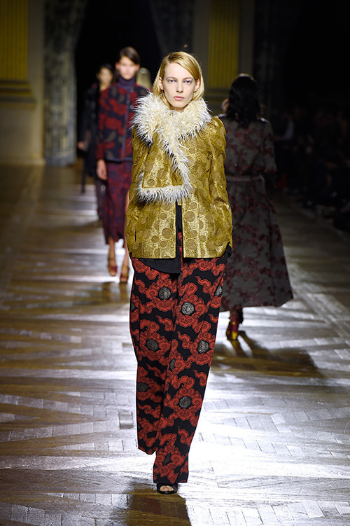 ドリス ヴァン ノッテン(DRIES VAN NOTEN) 2015-16年秋冬ウィメンズコレクション  - 写真9