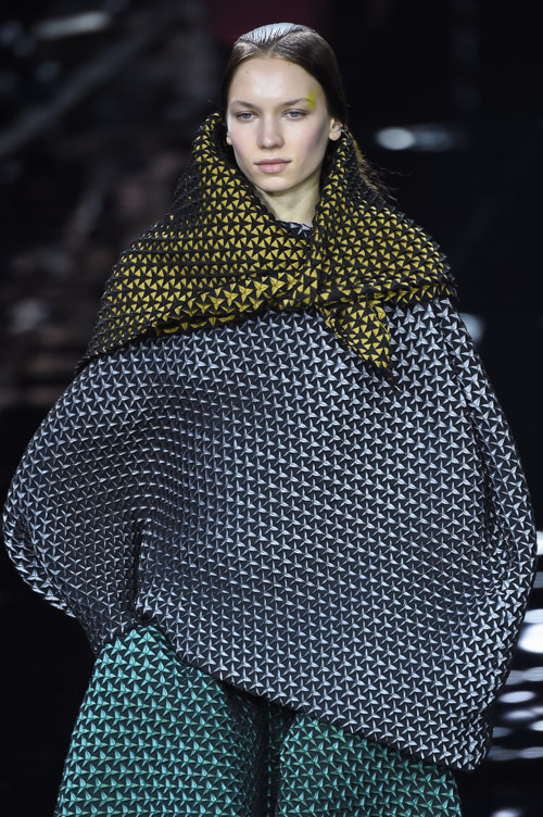 イッセイ ミヤケ(ISSEY MIYAKE) 2015-16年秋冬ウィメンズコレクション  - 写真9