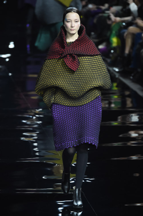 イッセイ ミヤケ(ISSEY MIYAKE) 2015-16年秋冬ウィメンズコレクション  - 写真12