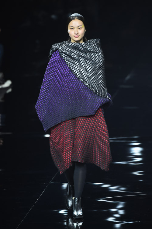 イッセイ ミヤケ(ISSEY MIYAKE) 2015-16年秋冬ウィメンズコレクション  - 写真13