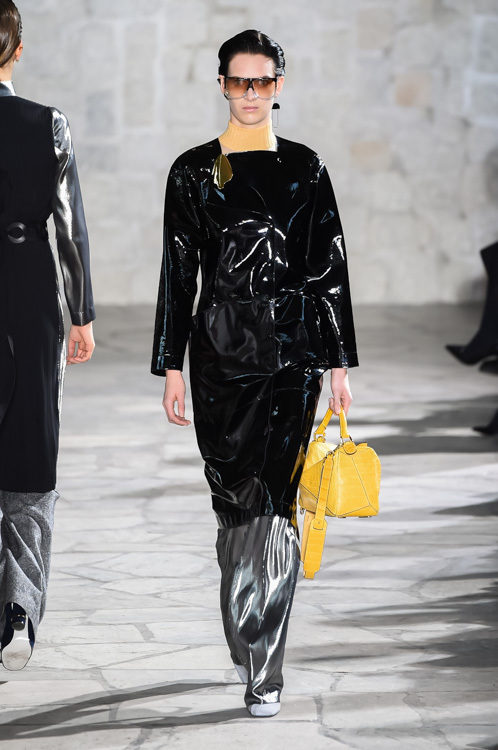 ロエベ(LOEWE) 2015-16年秋冬ウィメンズコレクション  - 写真35