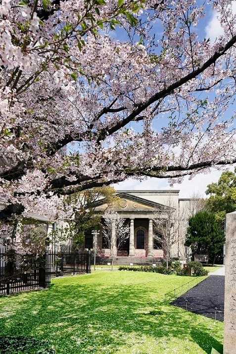 重要文化財で桜を満喫！大阪・旧桜宮公会堂に花見カフェ - なにわ黒牛のサンドウィッチも｜写真1