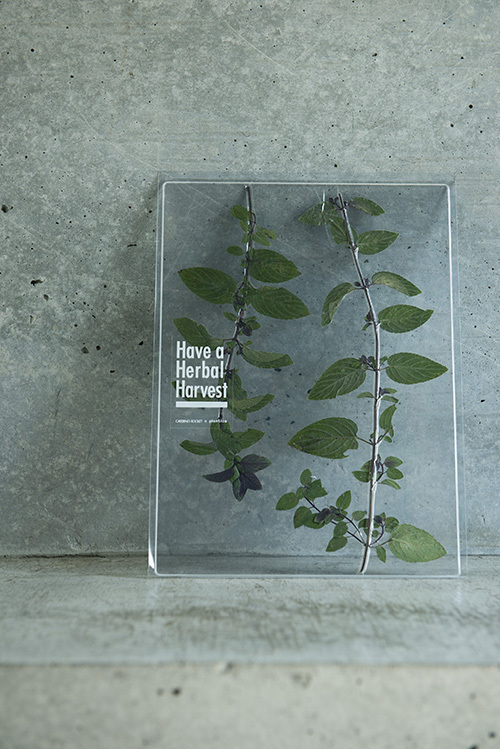 美しいハーブティー「Have a Herbal Harvest」展示販売が原宿で開催｜写真5