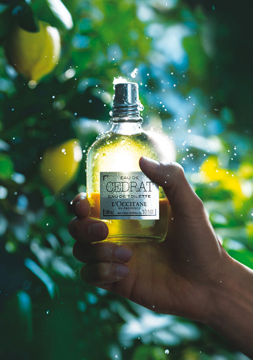 ロクシタン(L'OCCITANE) セドラ｜写真1