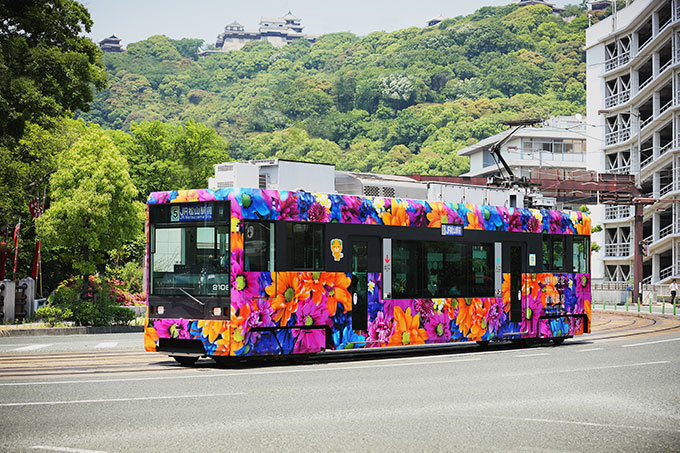 ビームス(BEAMS), 蜷川実花(Mika Ninagawa) 道後アート2015｜写真3