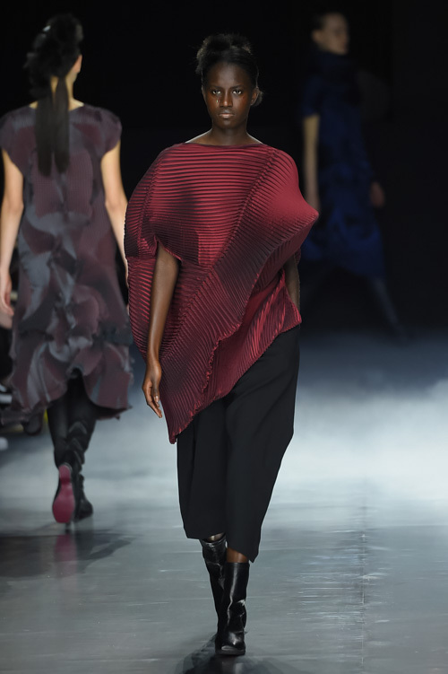 イッセイ ミヤケ(ISSEY MIYAKE) 2016-17年秋冬 ウィメンズコレクション  - 写真43