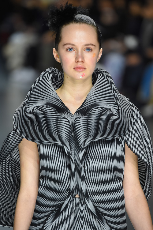 イッセイ ミヤケ(ISSEY MIYAKE) 2016-17年秋冬 ウィメンズコレクション  - 写真58