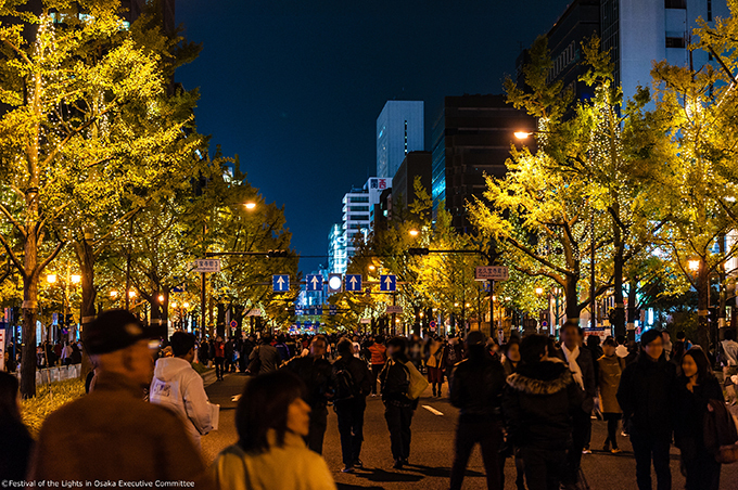 「大阪・光の饗宴2016」開催 - 御堂筋・中之島公園がイルミネーションで飾られる｜写真8