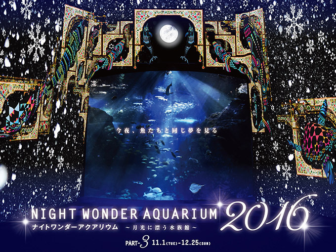 「ナイトワンダーアクアリウム2016」新江ノ島水族館を紹介 - 月光が照らす夜の海を体験｜写真112