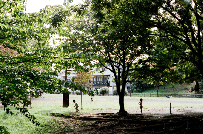 アヤメ“井の頭公園の新緑”から着想を得たアイウェア - ザ・パークサイド・ルームが別注｜写真2