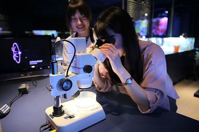 すみだ水族館×蜷川実花、クラゲ水槽が幻想的世界へ - 映像作品やアロマを駆使した万華鏡トンネルも｜写真40