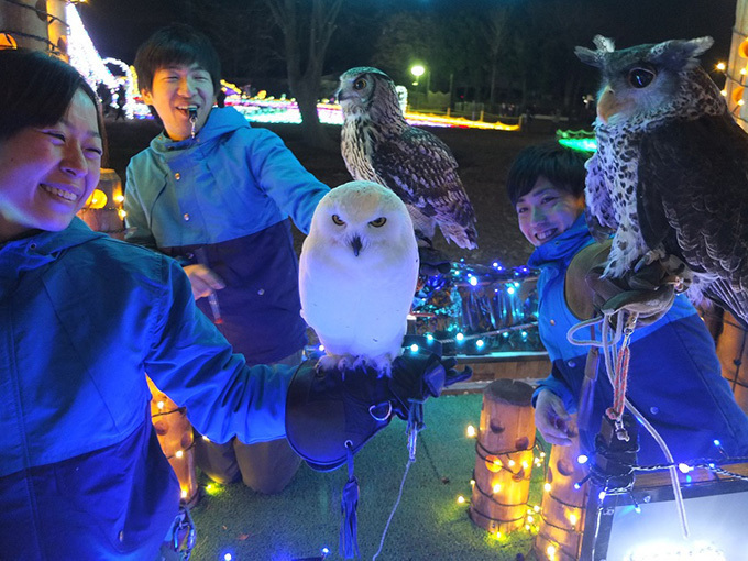 東武動物公園「ウインターイルミネーション」雄大な自然と光・音楽がコラボレート｜写真24