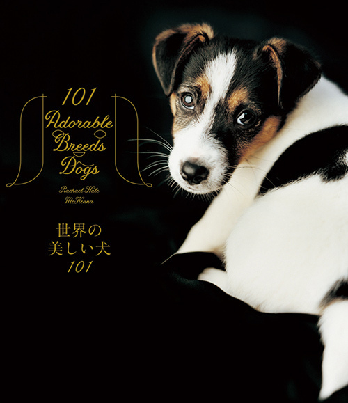 写真集『世界の美しい犬101』101匹を集めたビジュアル犬図鑑、性格や特徴も紹介｜写真1