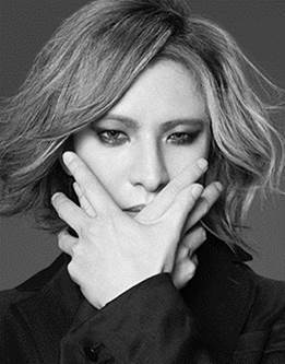 ヨシキモノ(YOSHIKIMONO) ヨシキモノ｜写真7