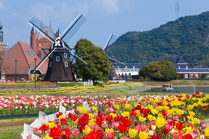 ハウステンボス「チューリップ祭」- 風車が回る田園風景に色鮮やかな花々｜写真2