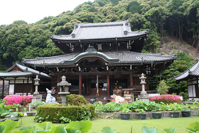 「春の特別拝観」京都や奈良などの寺院「西国三十三所」で - 興福寺の阿修羅像など秘宝公開、桜も見ごろ｜写真10