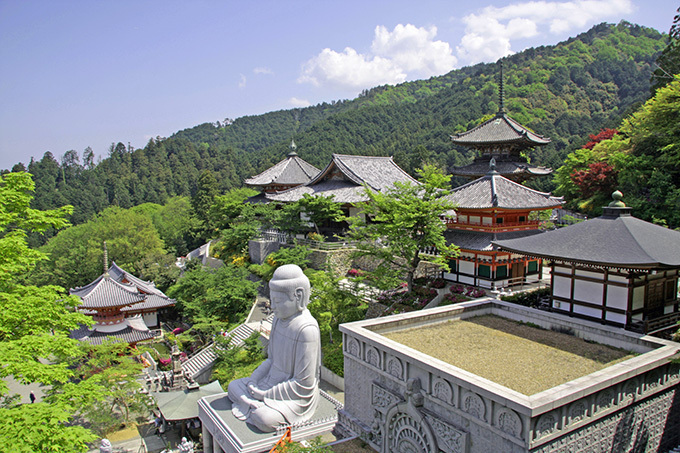 「春の特別拝観」京都や奈良などの寺院「西国三十三所」で - 興福寺の阿修羅像など秘宝公開、桜も見ごろ｜写真6