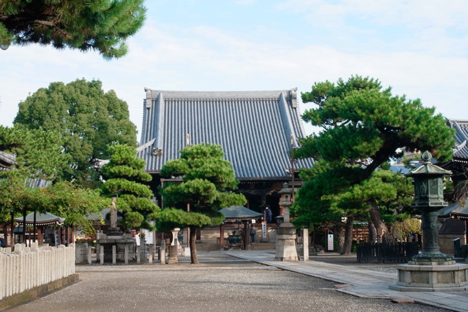 「春の特別拝観」京都や奈良などの寺院「西国三十三所」で - 興福寺の阿修羅像など秘宝公開、桜も見ごろ｜写真5