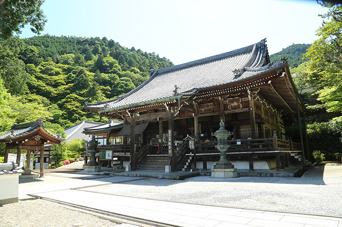 「春の特別拝観」京都や奈良などの寺院「西国三十三所」で - 興福寺の阿修羅像など秘宝公開、桜も見ごろ｜写真18