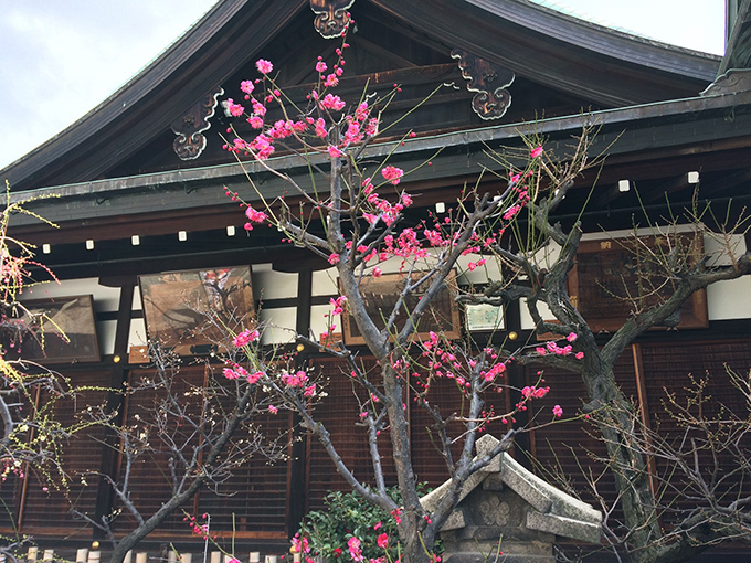 大阪天満宮で日本酒フェス開催 - 日本酒1杯100円から｜写真2