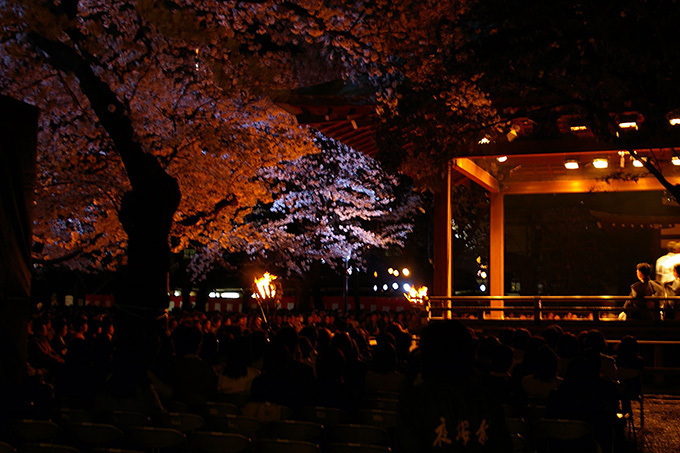 ホテルニューオータニの桜メニュー、57本の桜が咲き誇る日本庭園×春の味覚｜写真11