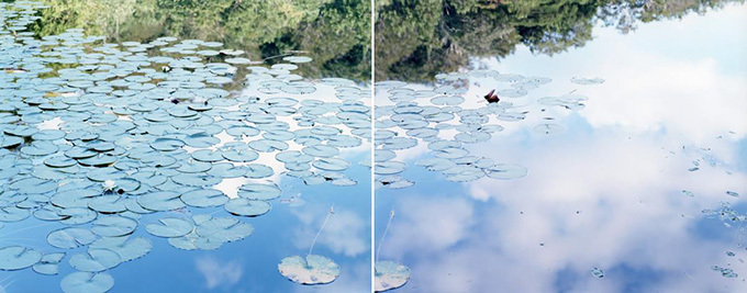 東京初の野外型国際フォトフェスティバルが上野エリアで、噴水に水鏡の写真を浮かべるユニークな展示など｜写真5