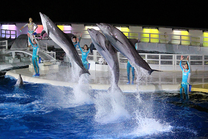 京都水族館×京都国立博物館「すいぞくかんとはくぶつかん」”夏の夜のすいぞくかん”もオープン｜写真3