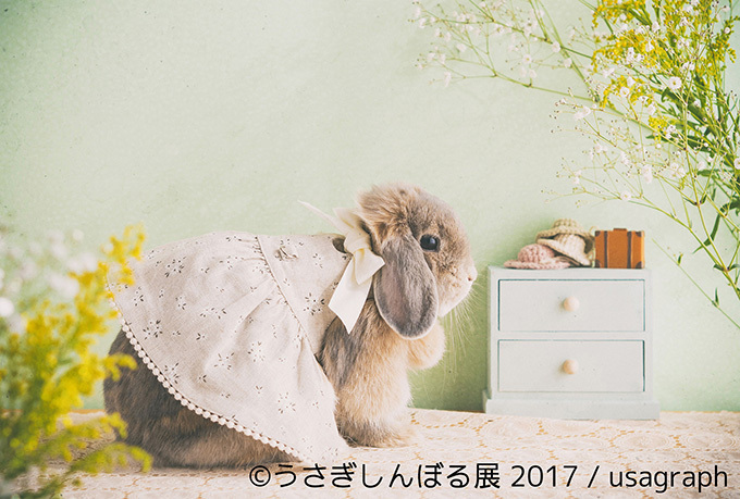 うさぎの写真展「うさぎしんぼる展 2017」東京・浅草橋で開催、オリジナルの限定グッズ販売も｜写真9