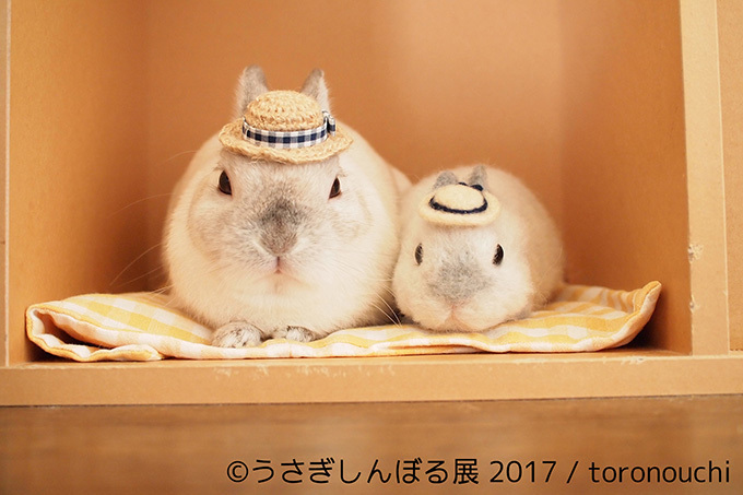 うさぎの写真展「うさぎしんぼる展 2017」東京・浅草橋で開催、オリジナルの限定グッズ販売も｜写真3