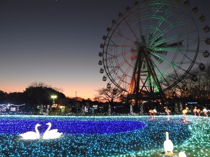 東武動物公園「ウインターイルミネーション」リズミカルなイルミネーションで光のライブ空間を演出｜写真12