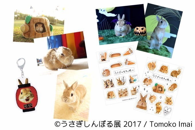 「うさぎしんぼる展 in 名古屋」癒しうさぎの写真・動画作品300点以上、限定アイテムも販売｜写真18