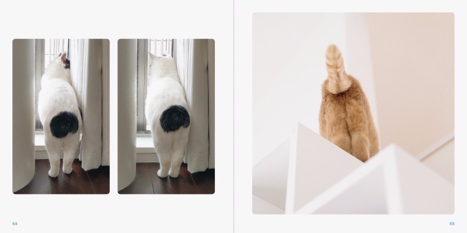 写真集『ねこのおみあし』“くつしたねこ”から“ごろにゃん”まで、魅力たっぷりな後ろ足に注目｜写真6