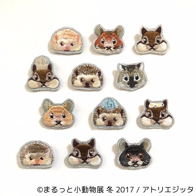 写真展「まるっと小動物展 冬 2017」浅草橋で - ハリネズミやリスなど、愛くるしい小動物に焦点｜写真20