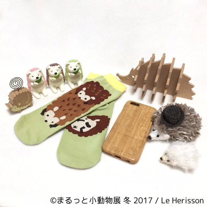 写真展「まるっと小動物展 冬 2017」浅草橋で - ハリネズミやリスなど、愛くるしい小動物に焦点｜写真18