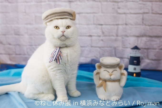 「ねこ休み展」横浜で合同写真・物販展初開催、癒し写真から願いが書ける猫の"巨大絵馬"まで登場｜写真6